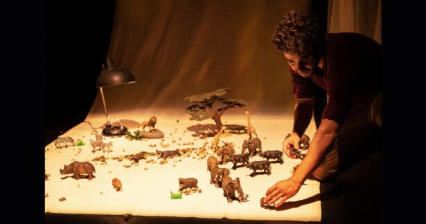 A Caminhada dos Elefantes