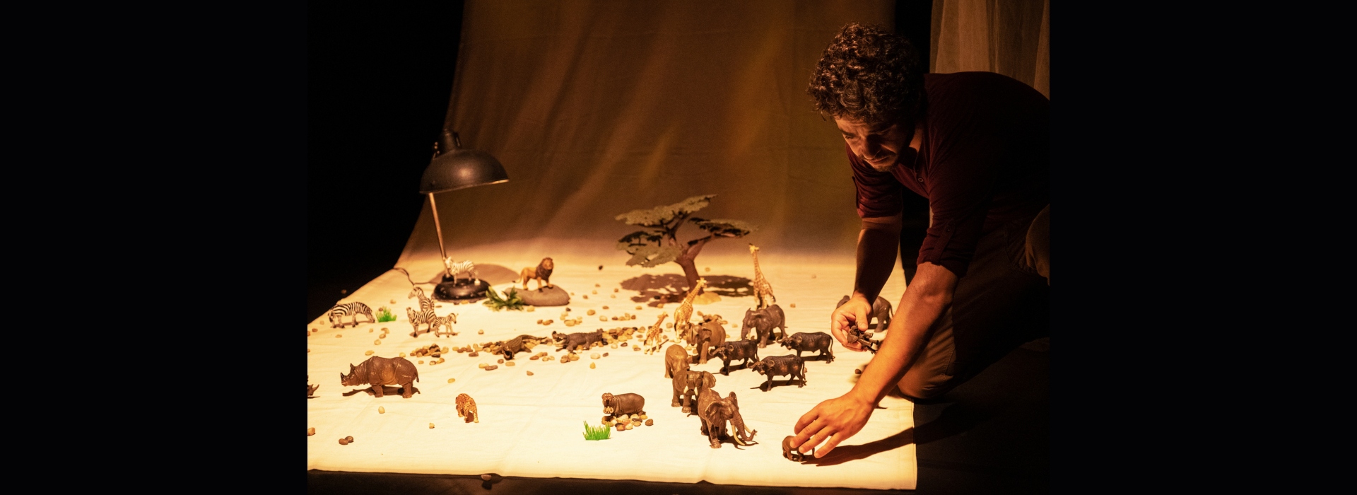 A Caminhada dos Elefantes