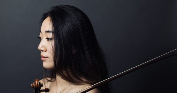 Um Violino para Brahms