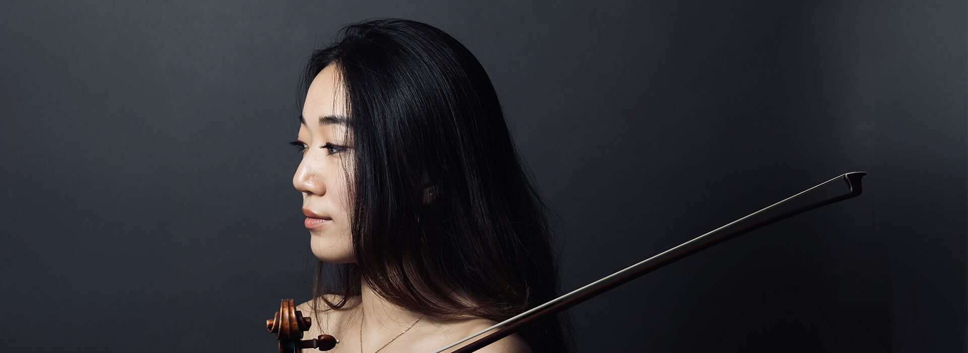 Um Violino para Brahms