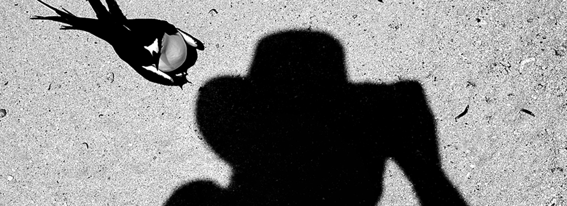 Retrospetiva – 50 anos – fotografia de Miguel Louro