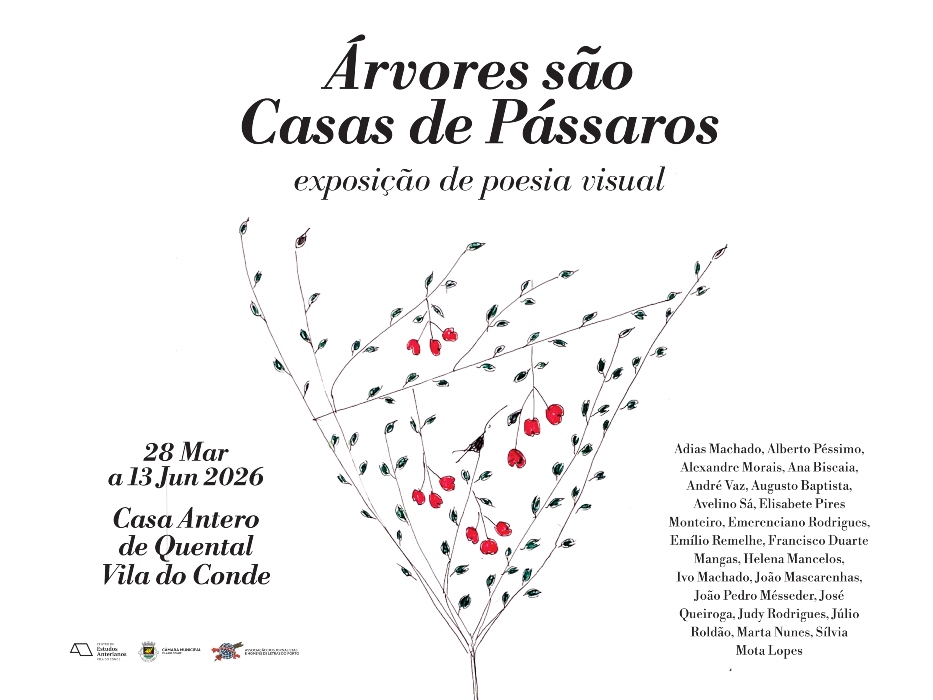 Árvores são Casas de Pássaros