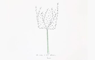 Árvores são Casas de Pássaros