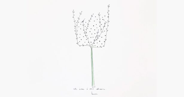 Árvores são Casas de Pássaros