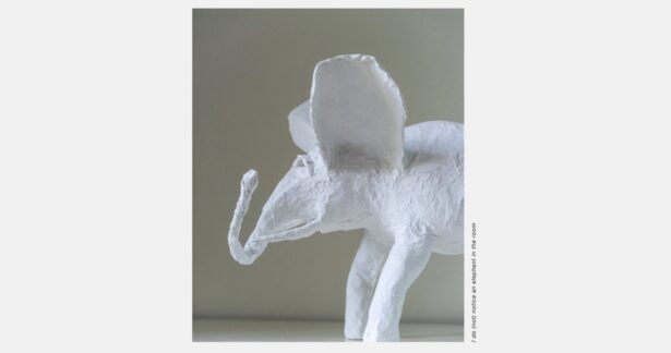 Eu (não) noto um elefante na sala, de Arkadiy Ivashkin