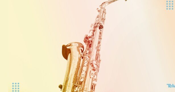 Concerto Solidário por Leiria