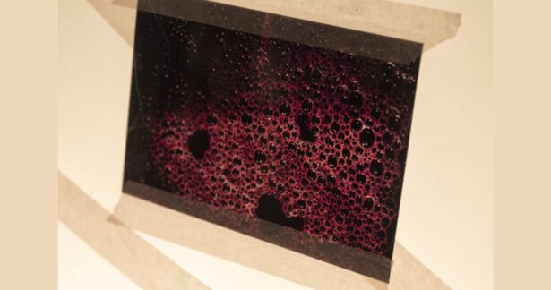 Oficina para Famílias — Cores e Tons do Vinho 