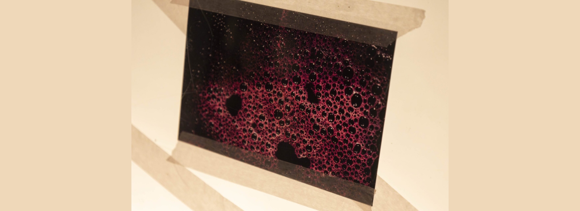 Oficina para Famílias — Cores e Tons do Vinho 