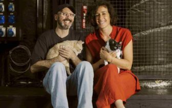 Falsas Histórias Verdadeiras: Uma Pina Colagem