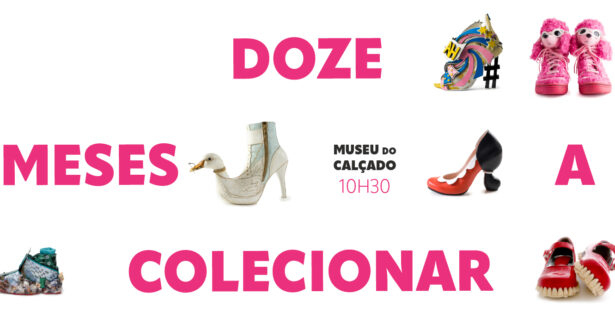 Doze meses a colecionar