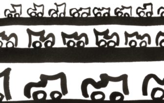 Sapacarros