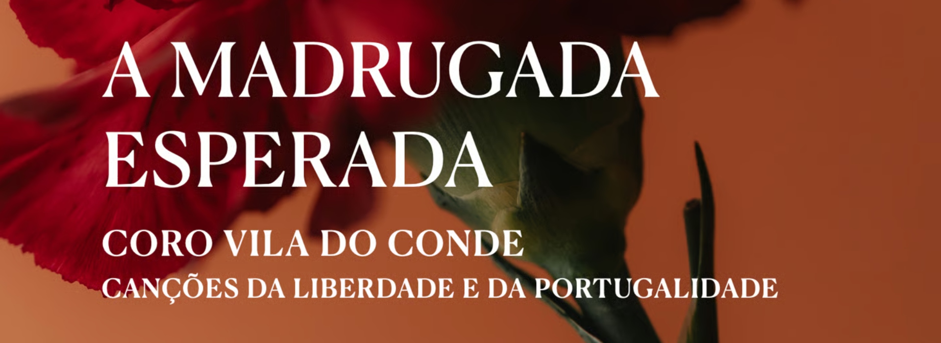 A Madrugada Esperada