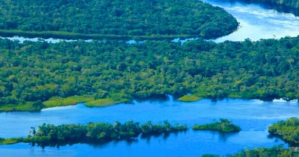 Amazonia