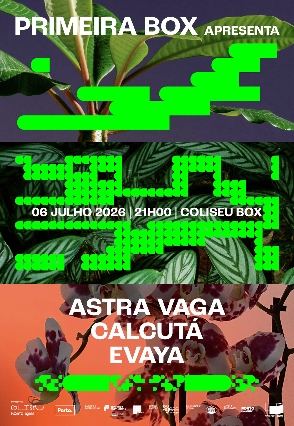 Astra Vaga + Calcutá + Evaya - Primeira Box