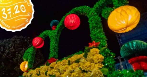 As Marchas Descem à Cidade