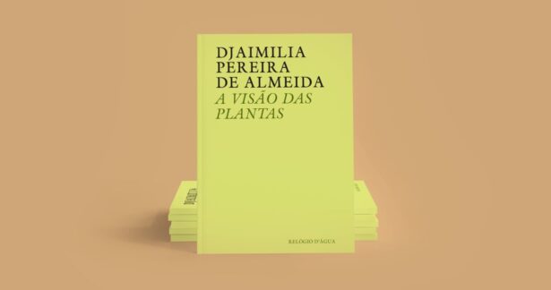 A Visão das Plantas