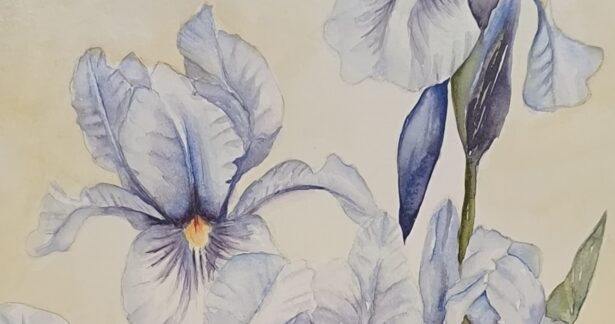 Ecos de la naturaleza