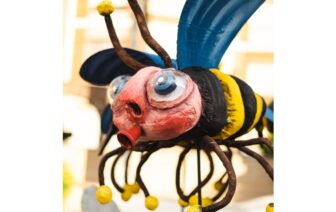 Insectes
