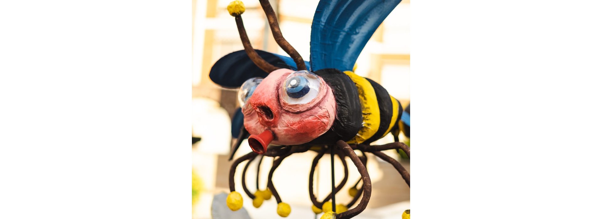 Insectes