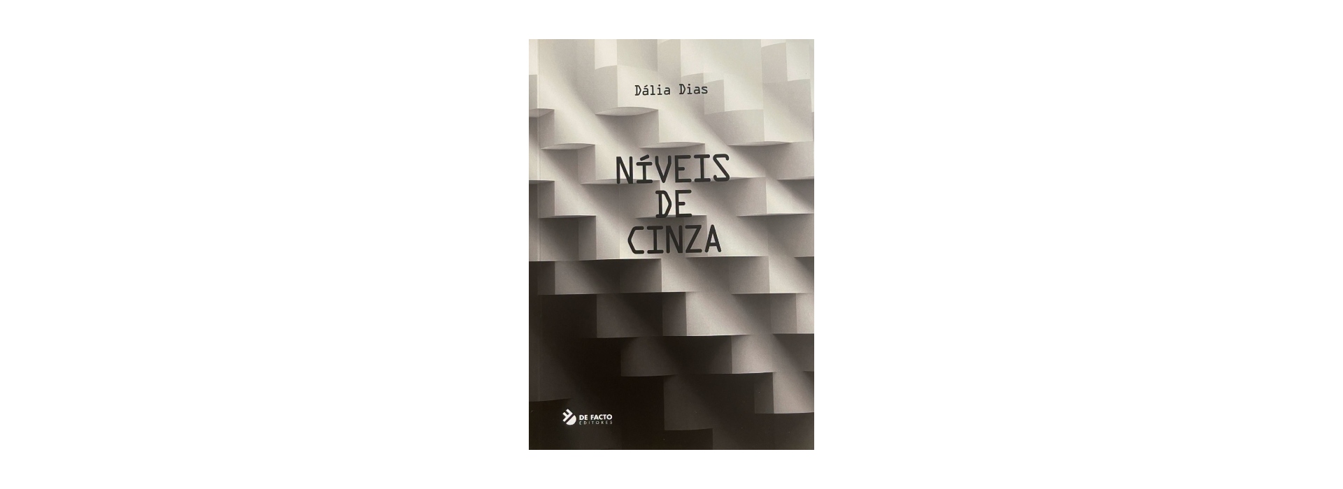 Níveis de Cinza, de Dália Dias